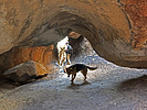 photo thumbnail #2