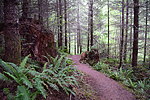 photo thumbnail #15