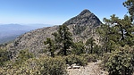 photo thumbnail #4