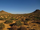 photo thumbnail #4