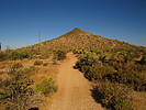 photo thumbnail #6