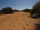 photo thumbnail #15