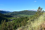 photo thumbnail #8