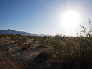 photo thumbnail #3