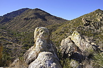 photo thumbnail #3