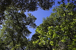 photo thumbnail #11