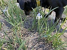 photo thumbnail #4