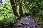 photo thumbnail #2