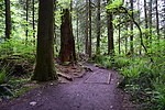 photo thumbnail #10