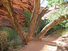 photo thumbnail #3