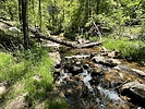 photo thumbnail #6