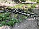photo thumbnail #4