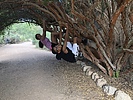 photo thumbnail #9