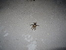 photo thumbnail #1