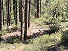 photo thumbnail #1