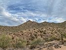 photo thumbnail #2