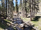 photo thumbnail #6