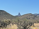 photo thumbnail #6