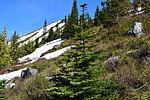 photo thumbnail #1