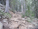 photo thumbnail #1