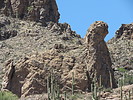 photo thumbnail #8