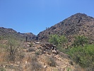 photo thumbnail #14