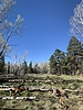 photo thumbnail #2