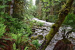 photo thumbnail #8