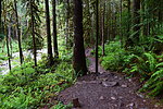 photo thumbnail #14