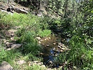 photo thumbnail #14