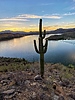 photo thumbnail #10