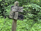 photo thumbnail #14