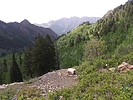 photo thumbnail #8
