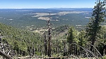 photo thumbnail #13