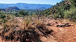 photo thumbnail #9