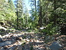 photo thumbnail #6