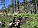 photo thumbnail #9