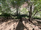 photo thumbnail #10