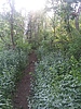 photo thumbnail #6