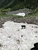 photo thumbnail #11