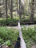 photo thumbnail #13