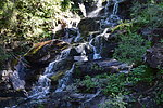 photo thumbnail #7