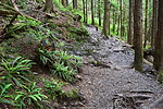photo thumbnail #10