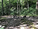 photo thumbnail #13