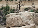 photo thumbnail #6