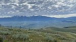 photo thumbnail #2