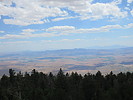 photo thumbnail #4