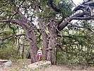 photo thumbnail #1