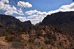 photo thumbnail #5