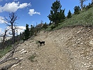 photo thumbnail #2